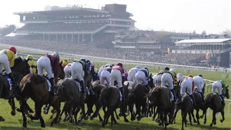 Cheltenham Festival offer: £250 in bonuses available .